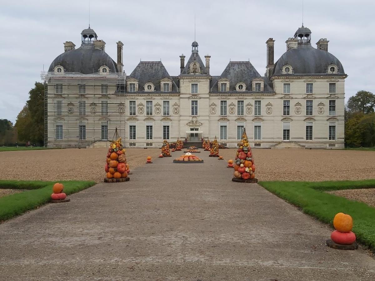 Gite Le Cerf Solognot Proche Chateau Chambord, Lamotte Beuvron Neung-sur-Beuvron Exterior foto